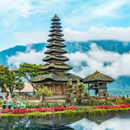 Rituels du monde - Fleur de Frangipanier, périple à Bali
