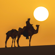 Rituels du monde - Touareg, balade dans le désert