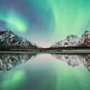 Rituels du monde - Fleur de coton, flânerie en Scandinavie