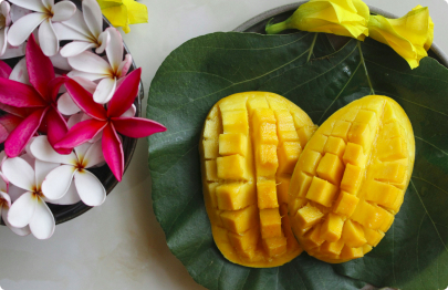 Mangue, itinéraire en terres Africaines
